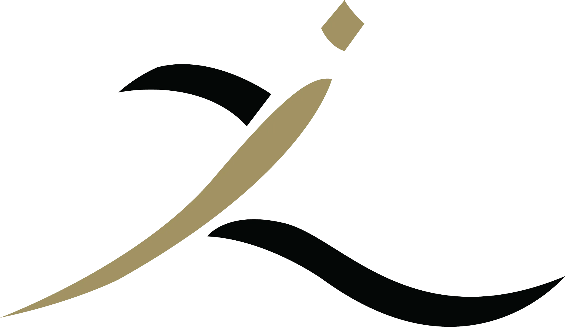 Zadina Abayas